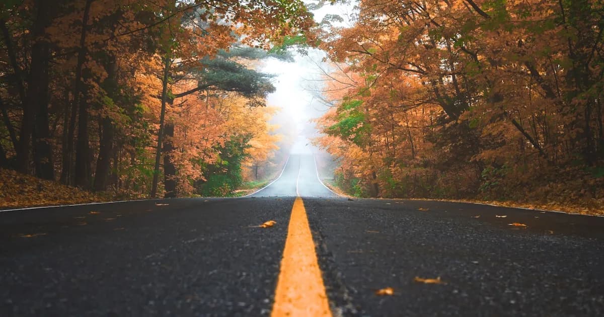 Rebuilding Confidence After Divorce: A Practical Recovery Guide